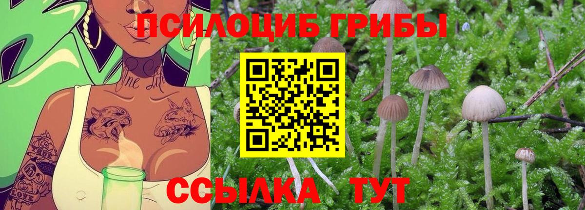 Тихорецк  Псилоцибиновые грибы мицелий  Псилоцибиновые грибы Psilocybine cubensis  Вход с VPN 